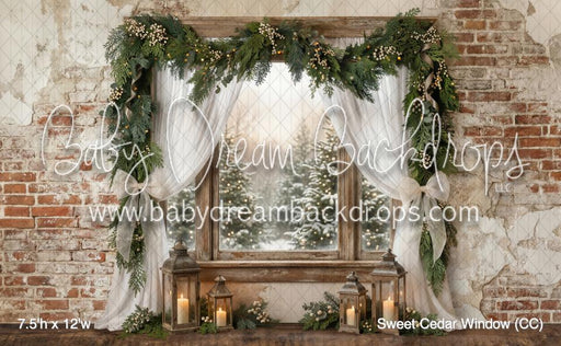 Sweet Cedar Window (CC)