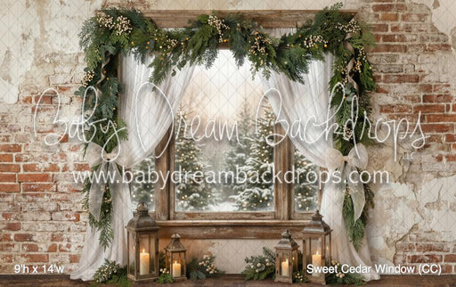 Sweet Cedar Window (CC)