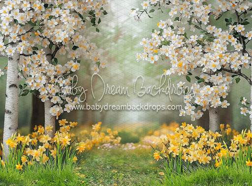 Sweet Dreamy Daffodils (JA)