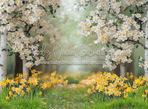 Sweet Dreamy Daffodils (JA)