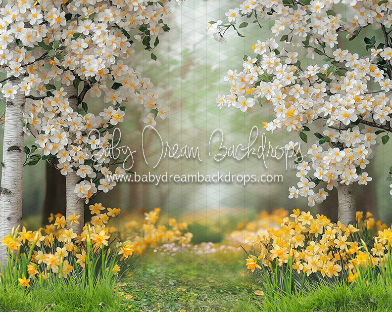 Sweet Dreamy Daffodils (JA)