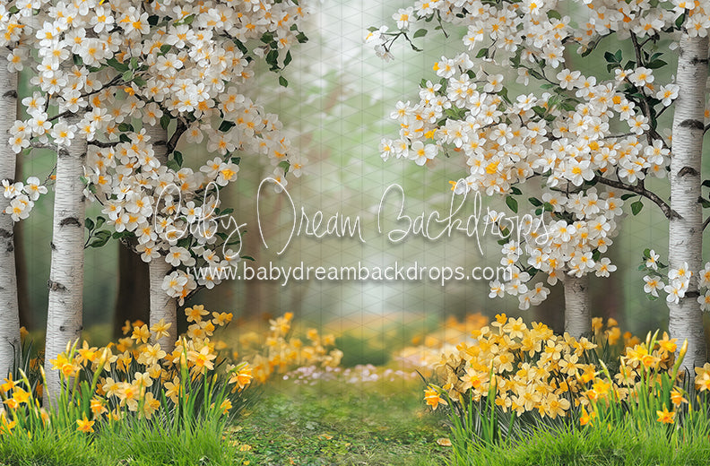 Sweet Dreamy Daffodils (JA)