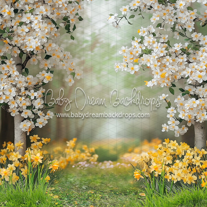 Sweet Dreamy Daffodils (JA)