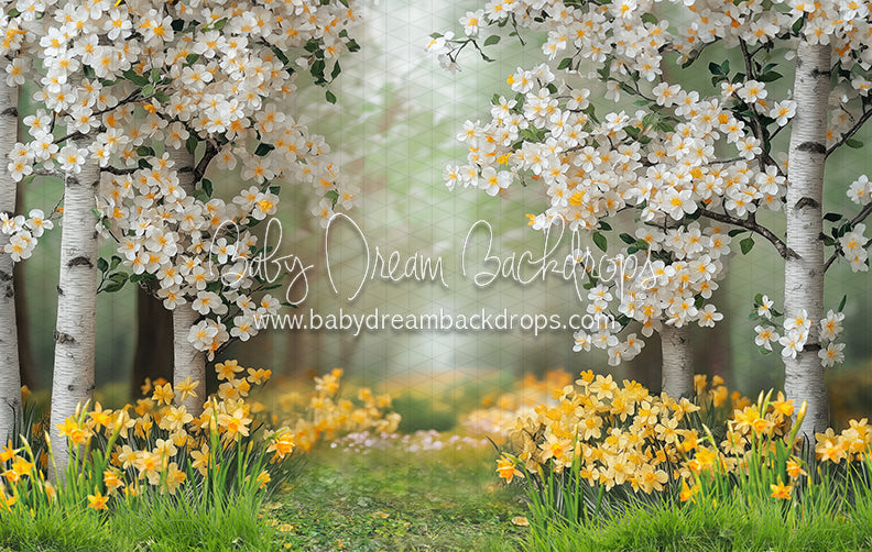 Sweet Dreamy Daffodils (JA)