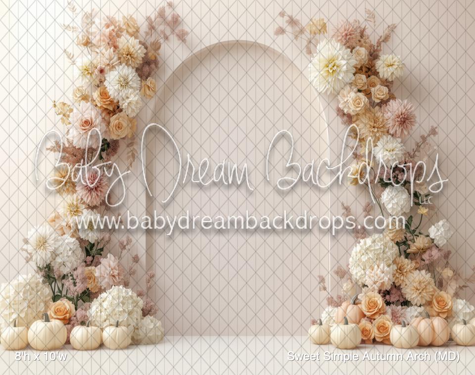 Sweet Simple Autumn Arch (MD) — Baby Dream Backdrops