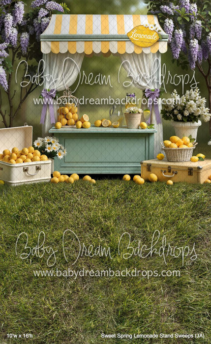 Sweet Spring Lemonade Stand Sweeps (JA)