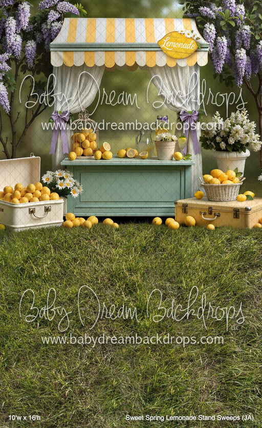 Sweet Spring Lemonade Stand Sweeps (JA)
