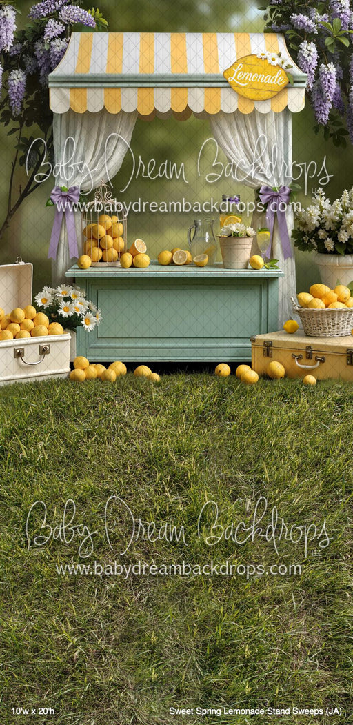 Sweet Spring Lemonade Stand Sweeps (JA)