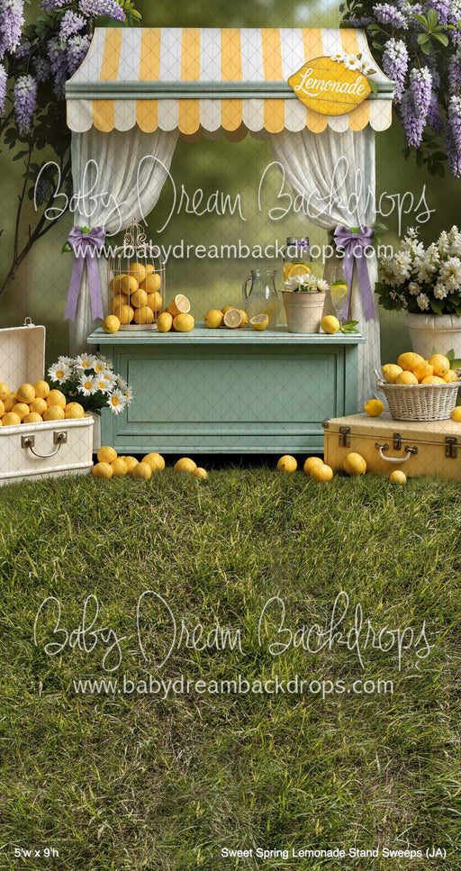 Sweet Spring Lemonade Stand Sweeps (JA)