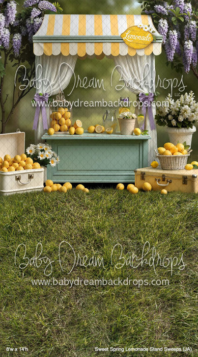 Sweet Spring Lemonade Stand Sweeps (JA)