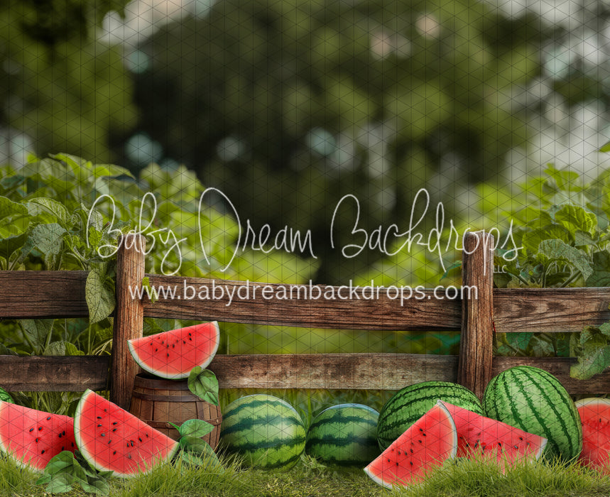 Sweet Summer Watermelon Fence (JA)