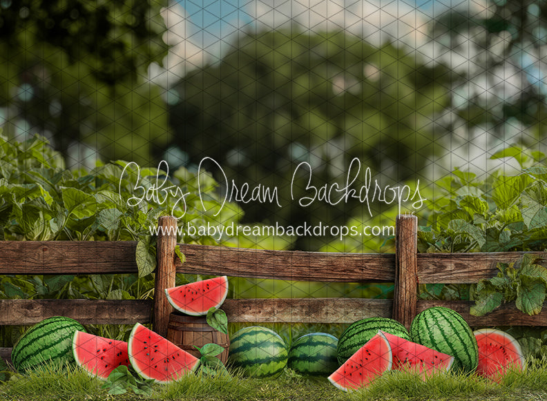 Sweet Summer Watermelon Fence (JA)
