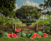Sweet Summer Watermelon Fence (JA)