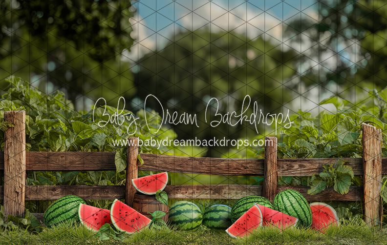 Sweet Summer Watermelon Fence (JA)