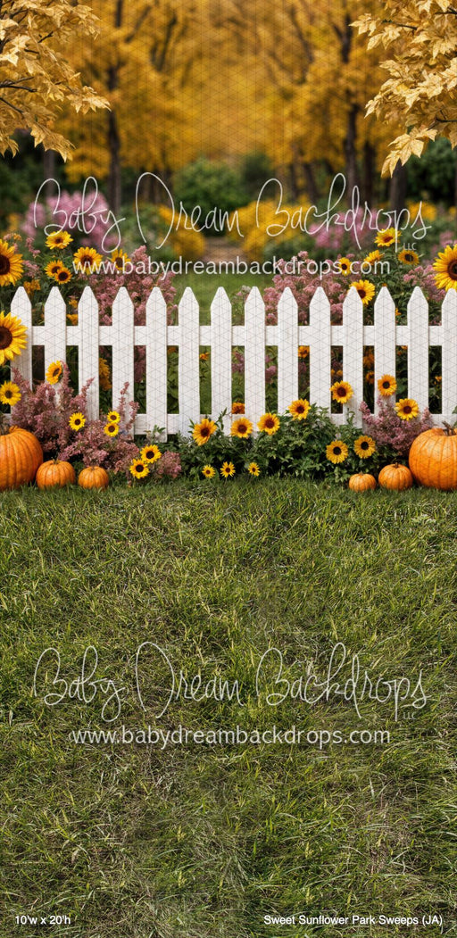 Sweet Sunflower Park Sweeps (JA)