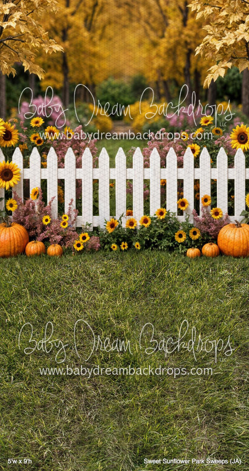 Sweet Sunflower Park Sweeps (JA)