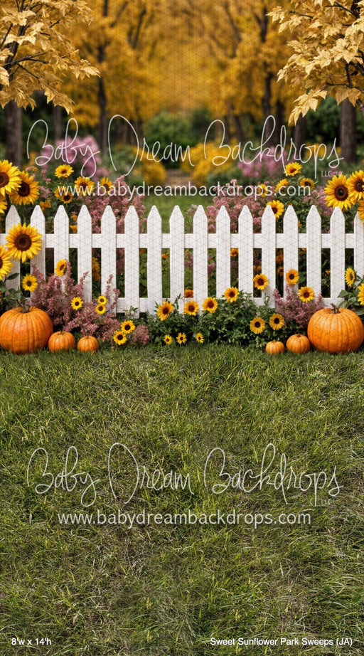 X Drop Sweet Sunflower Park Sweeps (JA)