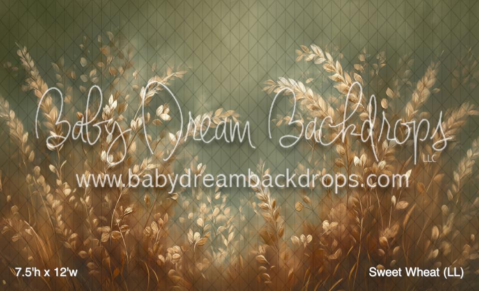 Sweet Wheat (LL)