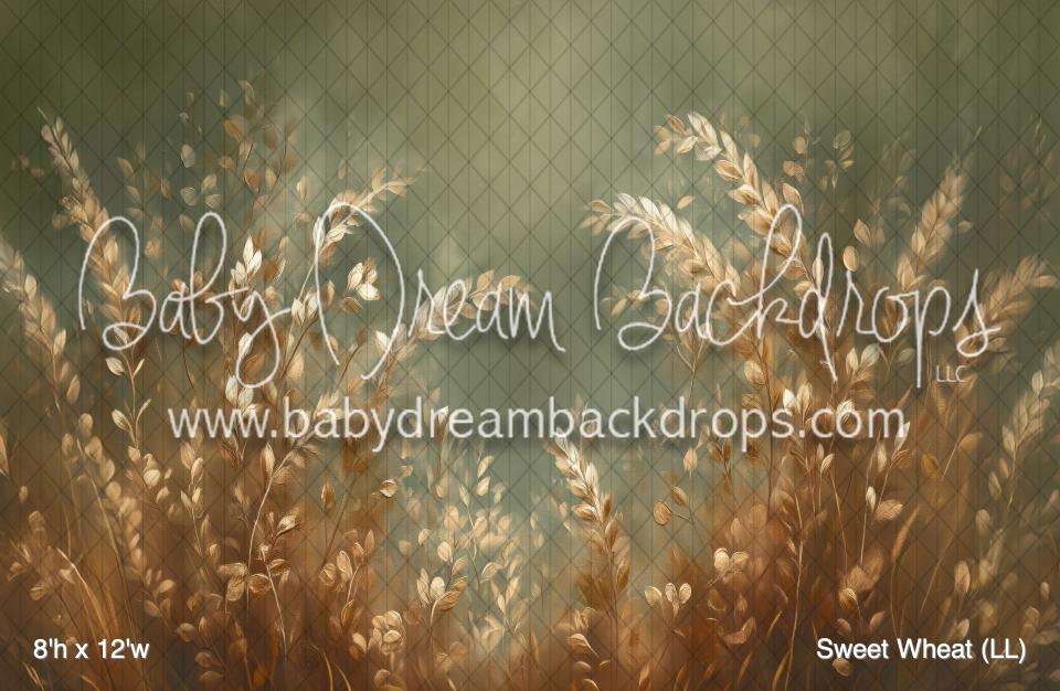 Sweet Wheat (LL)