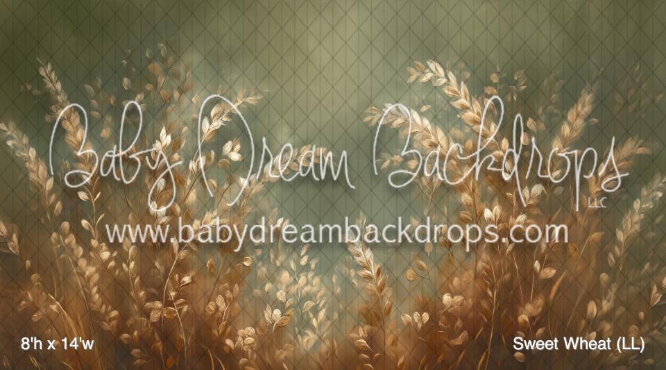 Sweet Wheat (LL)