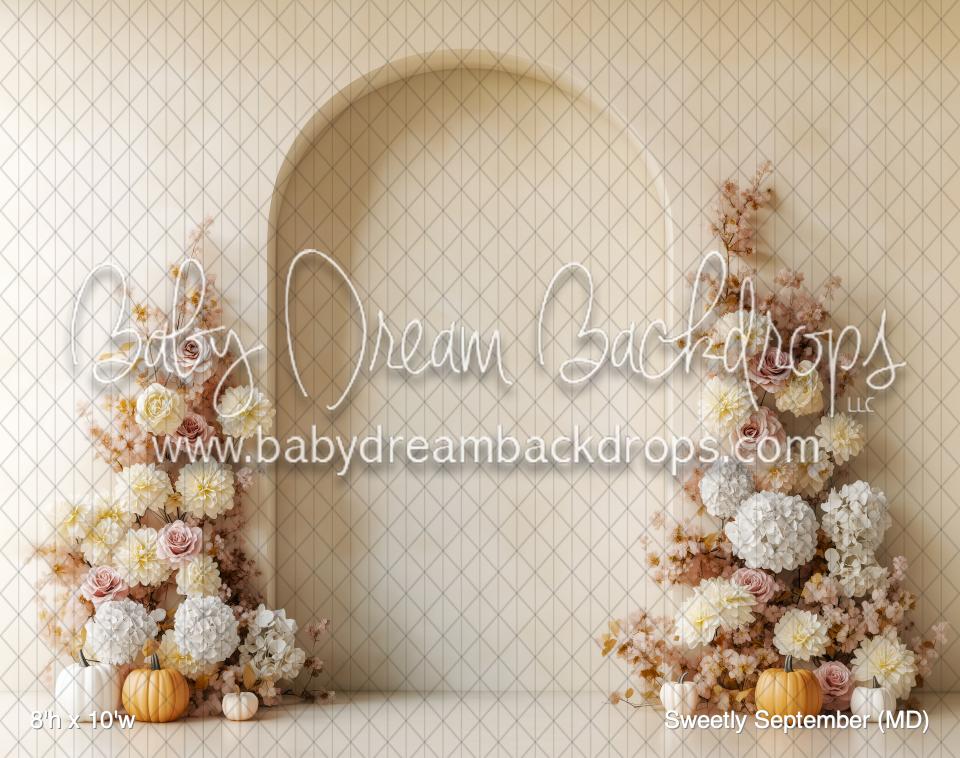 Sweetly September (MD) — Baby Dream Backdrops