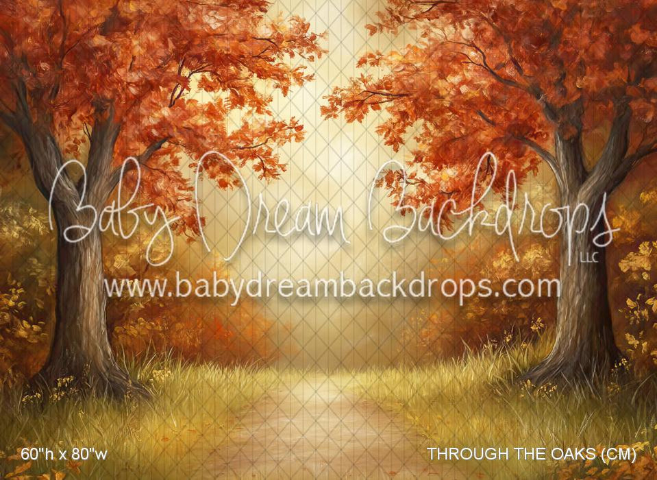THROUGH THE OAKS (CM)