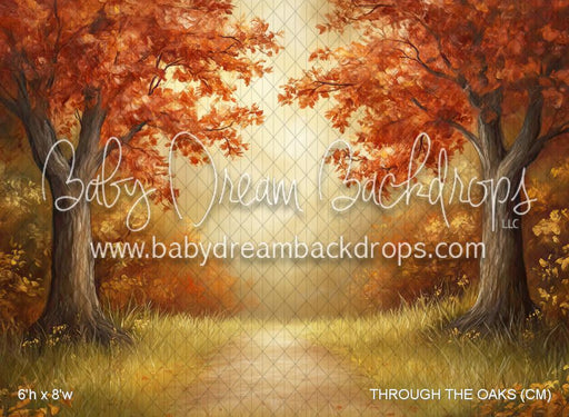 THROUGH THE OAKS (CM)