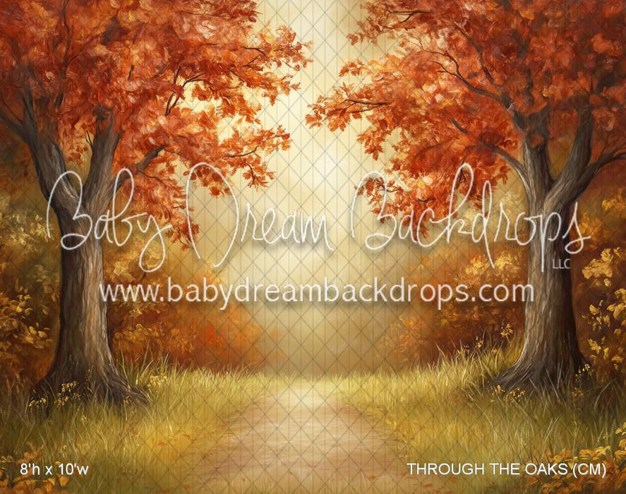 THROUGH THE OAKS (CM)