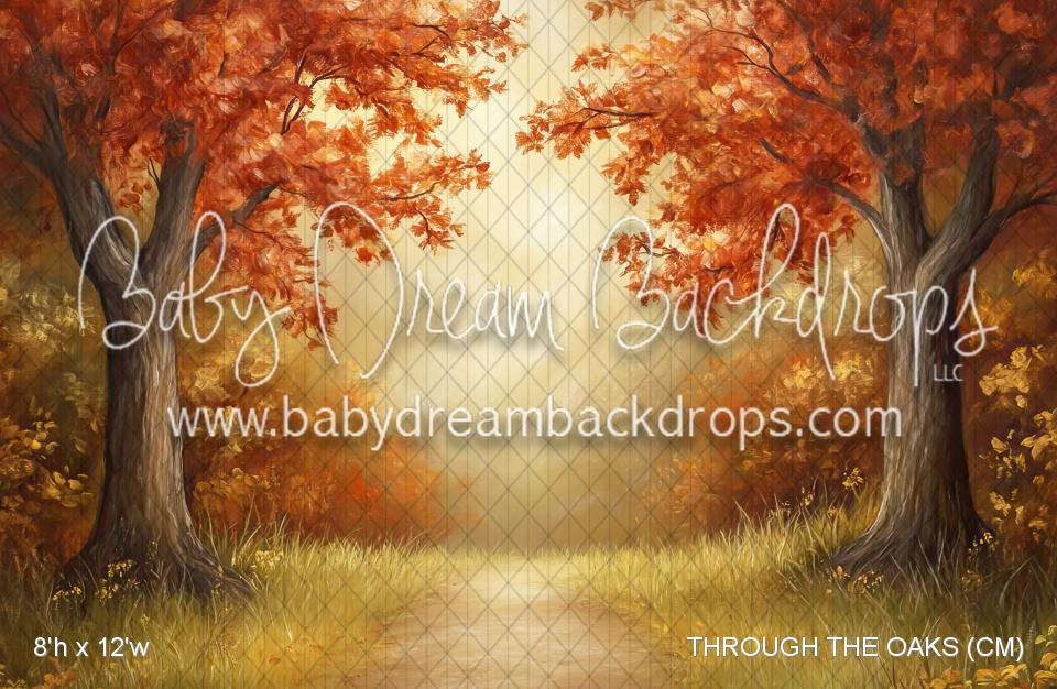THROUGH THE OAKS (CM)