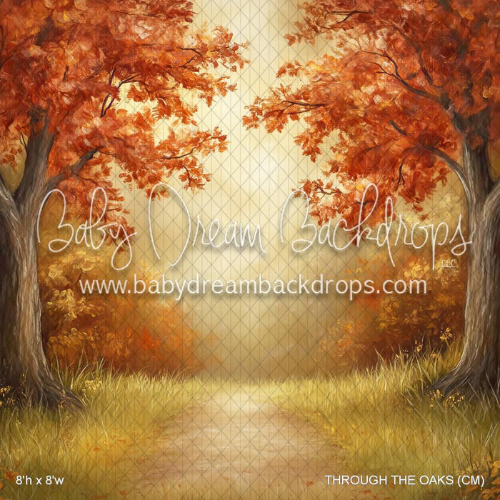 THROUGH THE OAKS (CM)