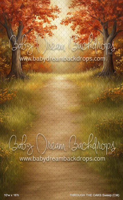 THROUGH THE OAKS Sweep (CM)