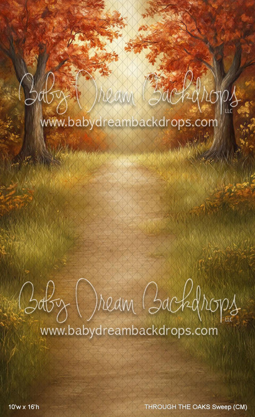 THROUGH THE OAKS Sweep (CM)