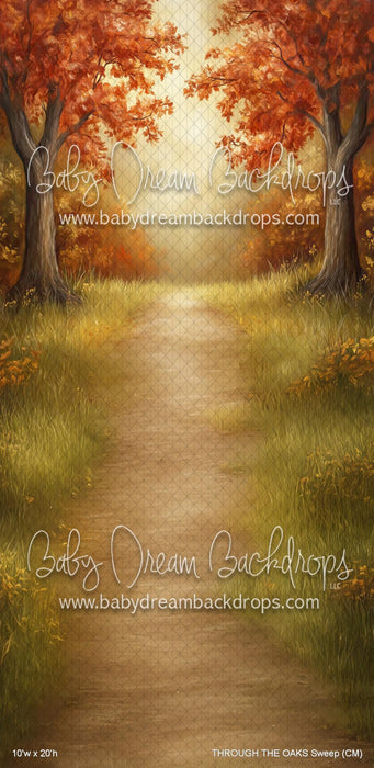 THROUGH THE OAKS Sweep (CM)