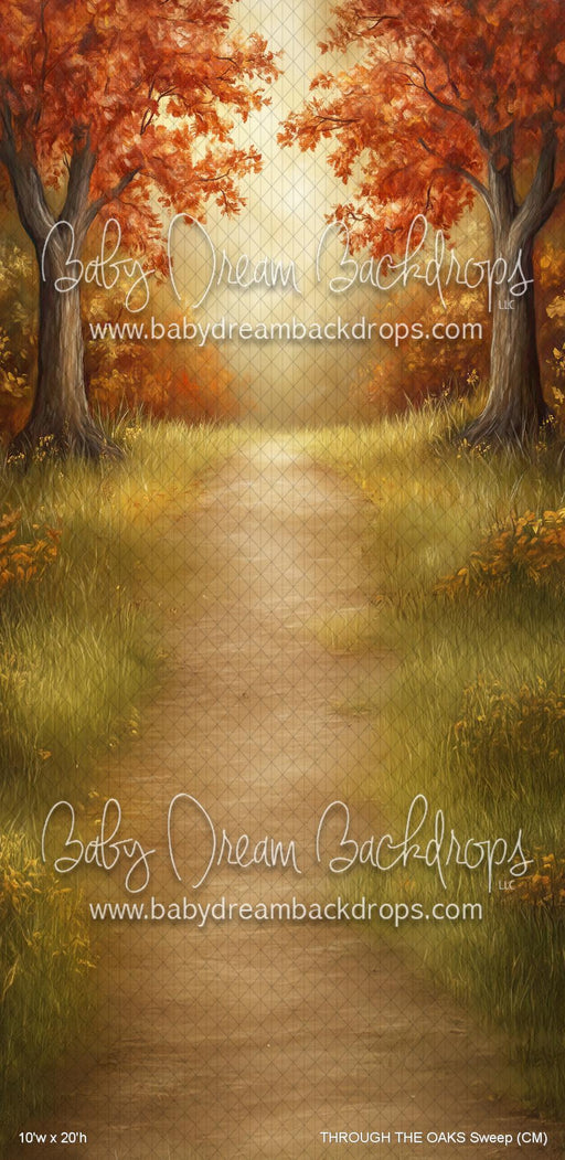 THROUGH THE OAKS Sweep (CM)