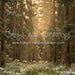 Tall Tale Pines (CC)