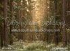 Tall Tale Pines (CC)