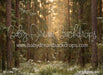 Tall Tale Pines (CC)