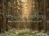 Tall Tale Pines (CC)