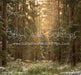 Tall Tale Pines (CC)
