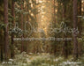 Tall Tale Pines (CC)