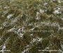 Tall Tale Pines Fabric Floor (CC)