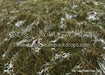Tall Tale Pines Fabric Floor (CC)