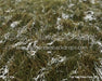 Tall Tale Pines Fabric Floor (CC)
