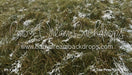 Tall Tale Pines Fabric Floor (CC)