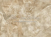 Tan Concrete Fabric Floor (JA)