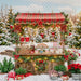 Tartan Sweet Stand (WM)