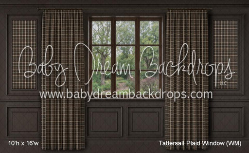 Tattersall Plaid Window (WM)
