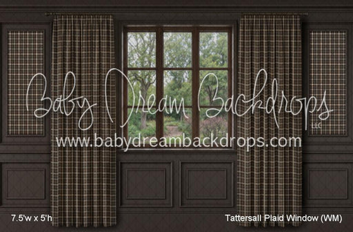 Tattersall Plaid Window (WM)