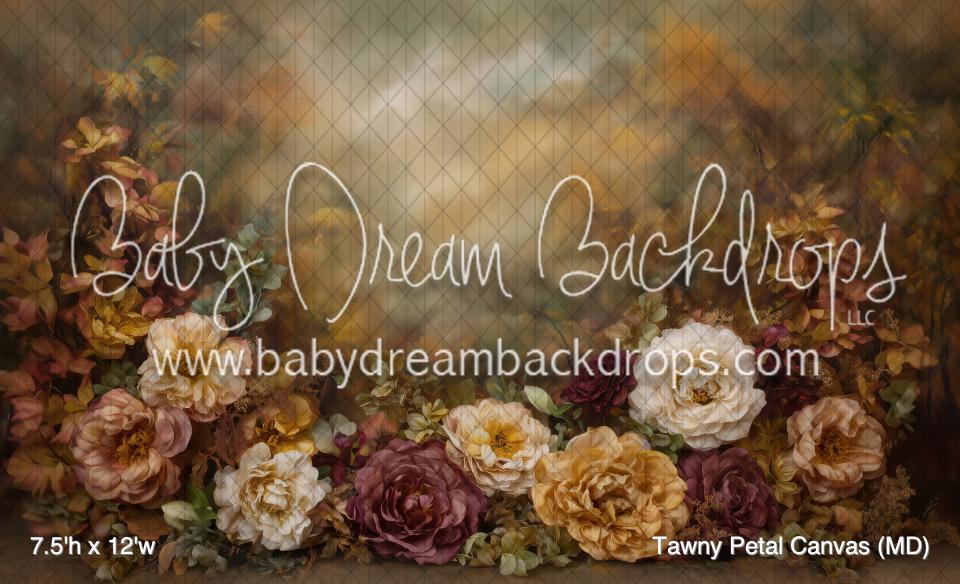 Tawny Petal Canvas (MD)