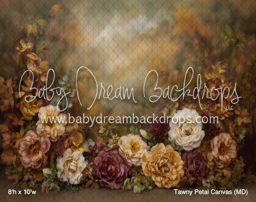 Tawny Petal Canvas (MD)